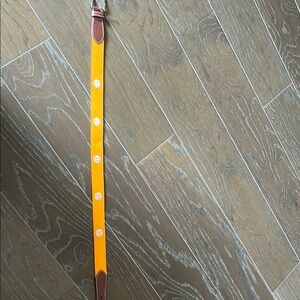 Orange Roostas Tennessee Belt